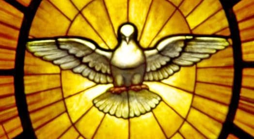 Taube als Symbol für den Heiligen Geist